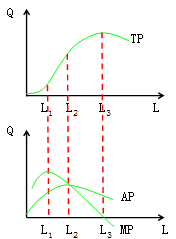 总产量,平均产量和边际产量曲线及其位置关系